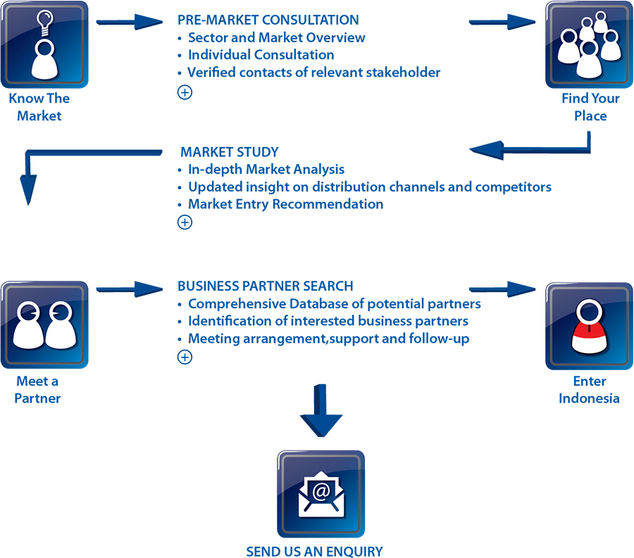 Pre-market Entry Competitive Intelligence Study